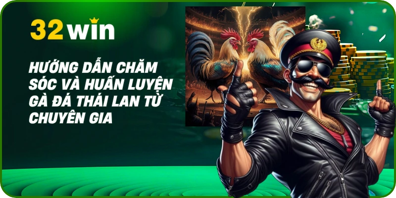 Đá Gà Thái Lan - Xem Trực Tiếp & Kỹ Thuật Nuôi Gà Chọi 2025 3 Hướng dẫn chăm sóc và huấn luyện gà đá Thái Lan từ chuyên gia