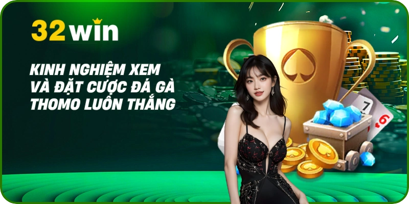 Đá Gà Thomo – Khám Phá Đấu Trường Cựa Sắt Đỉnh Cao 2025 3 Kinh nghiệm xem và đặt cược đá gà Thomo luôn thắng