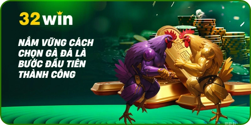 Cách chọn gà đá - Bí Kíp Xem Tướng & Vảy Từ Chuyên Gia 1 Nắm vững cách chọn gà đá là bước đầu tiên thành công